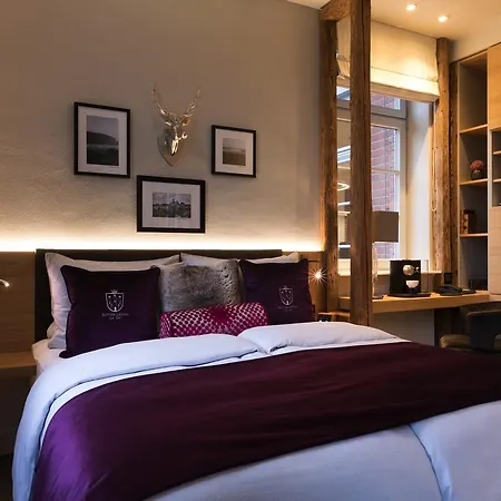 Brunnenhaus Schloss Landau 酒店 4*