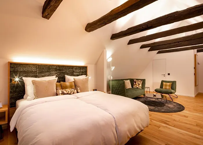 Hotel Brunnenhaus Schloss Landau 4*